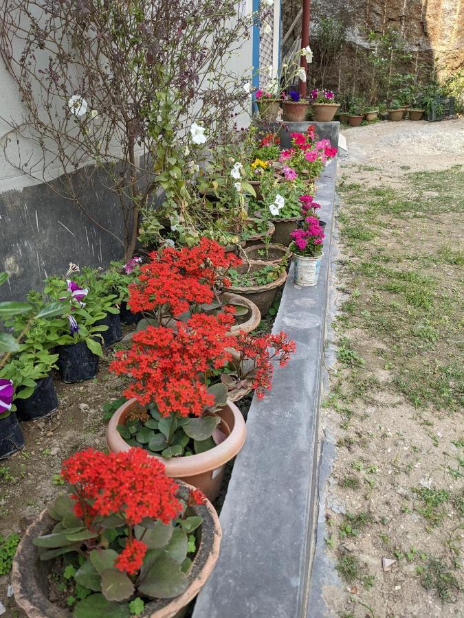 Nilachal Homes Guwahati Dış mekan fotoğraf
